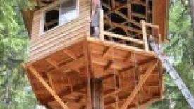 Wood-Treehouse-Construction-145.jpg