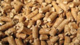 E-Pellets Buys Former LP Mill for Wood Pellet Production 