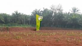 aAsia-Plantation-Capital.jpg