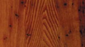 american-chestnut145.jpg
