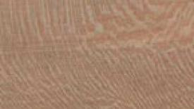 american-sycamore145.jpg