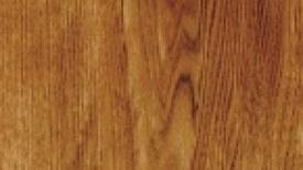 butternut145.jpg