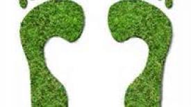 Learn About Carbon Neutrality in 90 Seconds