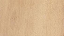 dogwood-145.jpg
