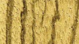 0607FDMzebrawood_opt.jpg