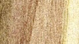 0709FDMdawnredwood_opt.jpg
