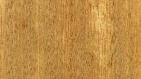 1908fdmcwoodexp-meranti-dark_red.jpeg