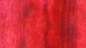 2101jatoba.jpg