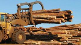 APEG-Lumber-mill_0.jpg