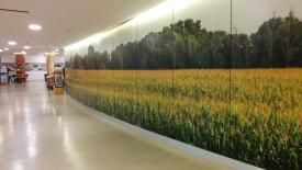 BioSurf, Corn Palace
