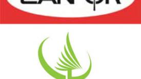 Canfor, Conifex logos