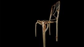 Chairs-from-trees1.jpg