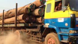 illegal logging in Myanmar