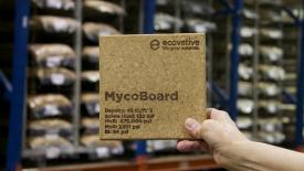 Ecovative, Mycoboard