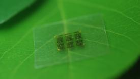 Forest-Products-Lab-USDA-Nanochip.jpg
