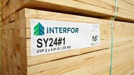 Interfor-Yellow-Pine.JPG