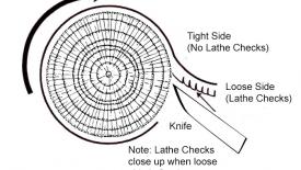 LogCrossSection_Updated.jpg