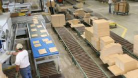 Master-WoodCraft-Cabinetry-production-line.jpg