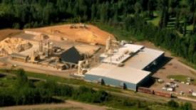 NEWPRO plant.jpg