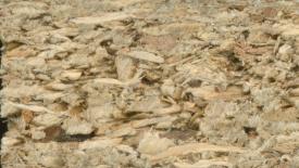 Particle_board-wikimedia.jpg