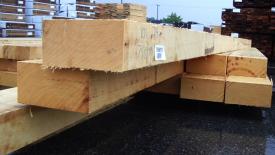 Patrick-Alaskan-Yellow-Cedar.jpg