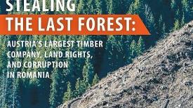 Romanian-Forests-FSC.JPG