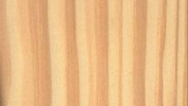 Southern-yellow-pine.jpg