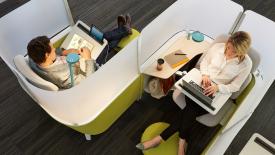 Steelcase-brody-WWN-WOOD-100.jpg