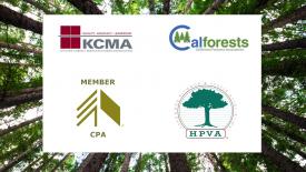 Timber Products' Associations