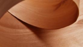 Timber-Products-alder-veneer.jpg