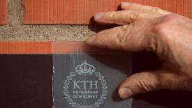 Transparent-Wood.jpg