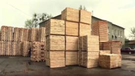 Ukranina-pallet-conunterfeiting.jpg