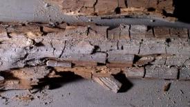 Wood-Rota-squared.jpg