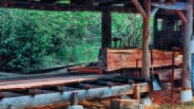 bear-creek-woodworks-lumber.jpg