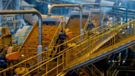 biofuel-production.jpg