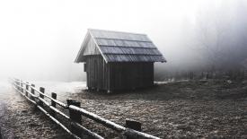 black-and-white-wood-stock.jpg