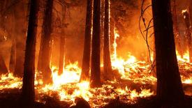 canada-wildfire.jpg