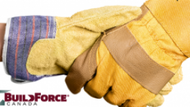 canada-workforce.png