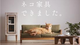 cat-furniture-sofa.jpg