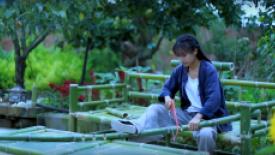 chinese-bamboo-furniture-video.jpg