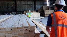 conifex-timber-lumber.jpg