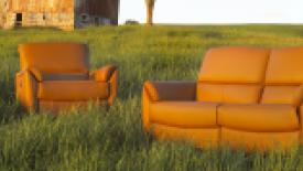 elran-furniture-field-stock.jpg