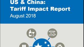 freedonia-group-china-tariffs.jpg