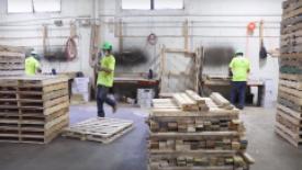 greenway-pallet-plant.jpg