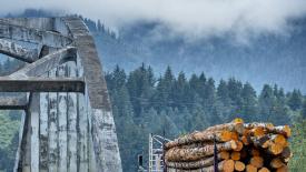 hampton-lumber-truck.jpg