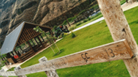 juniper-fence.gif