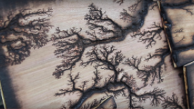 lichtenberg-woodburning.PNG