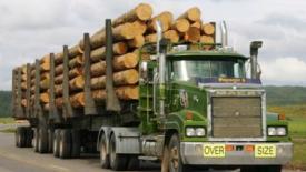 logging truck(2).jpg