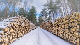 logging-winter.jpg