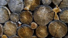 logs-oak.jpg